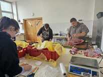 Začiatok sezóny a pracovné aktivity